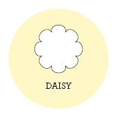 daisy.jpg