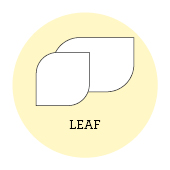 leaf.jpg