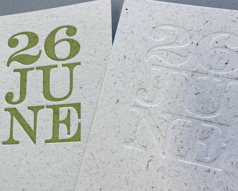 1PMS blind v colour june 26 Mother Earth.jpg