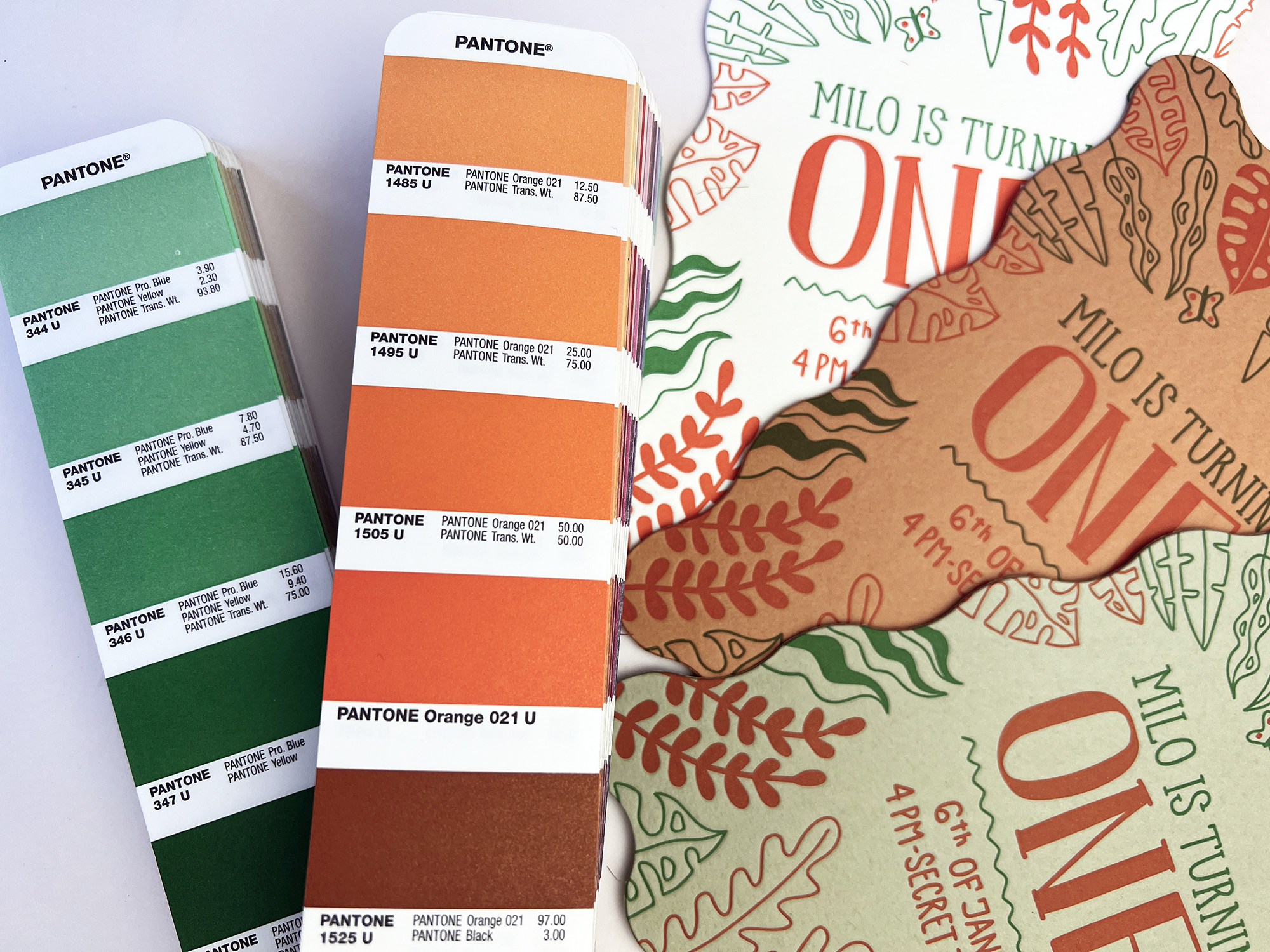 L_Match_Terracotta_Fluro colour comparison with pantone book.jpg