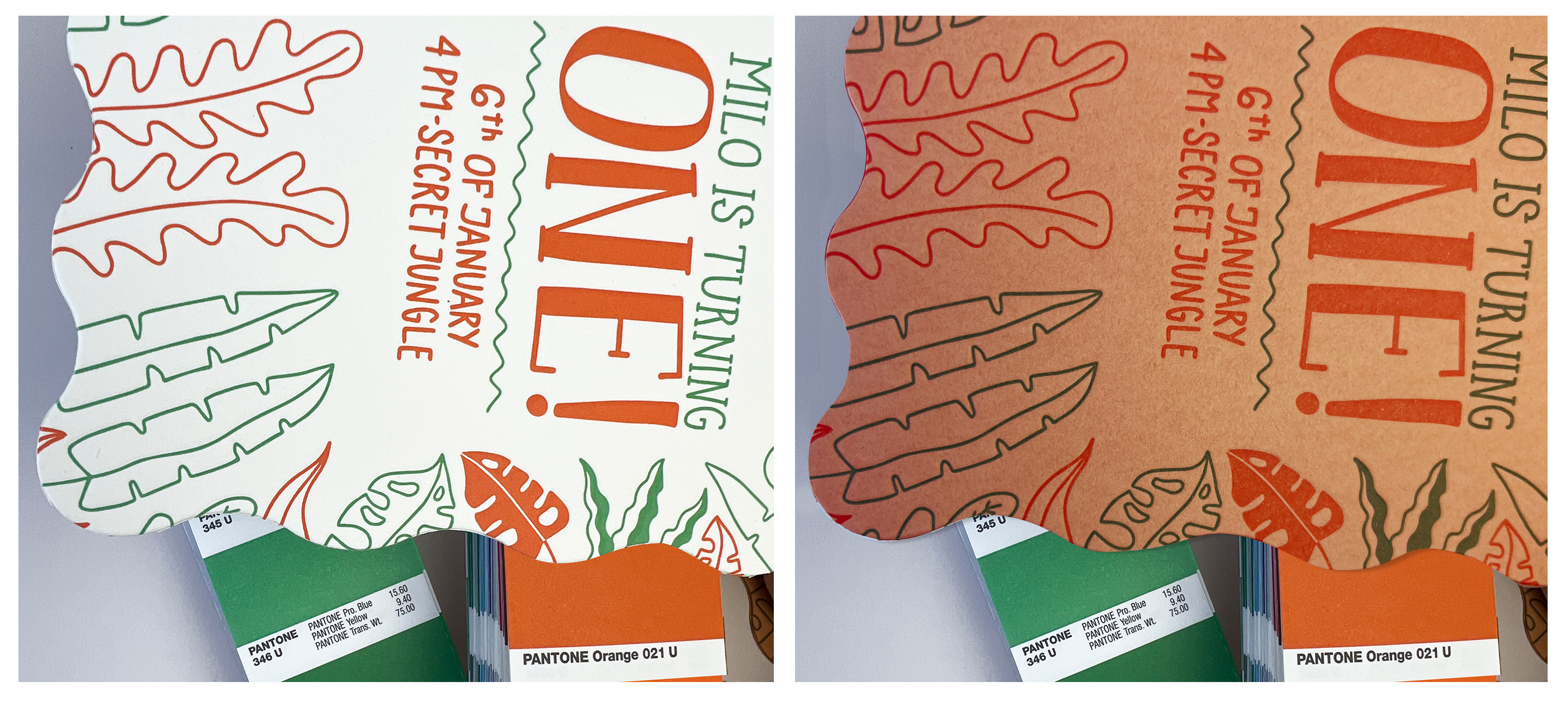 L_ fluro and terracotta colour comparison with pantone book.jpg