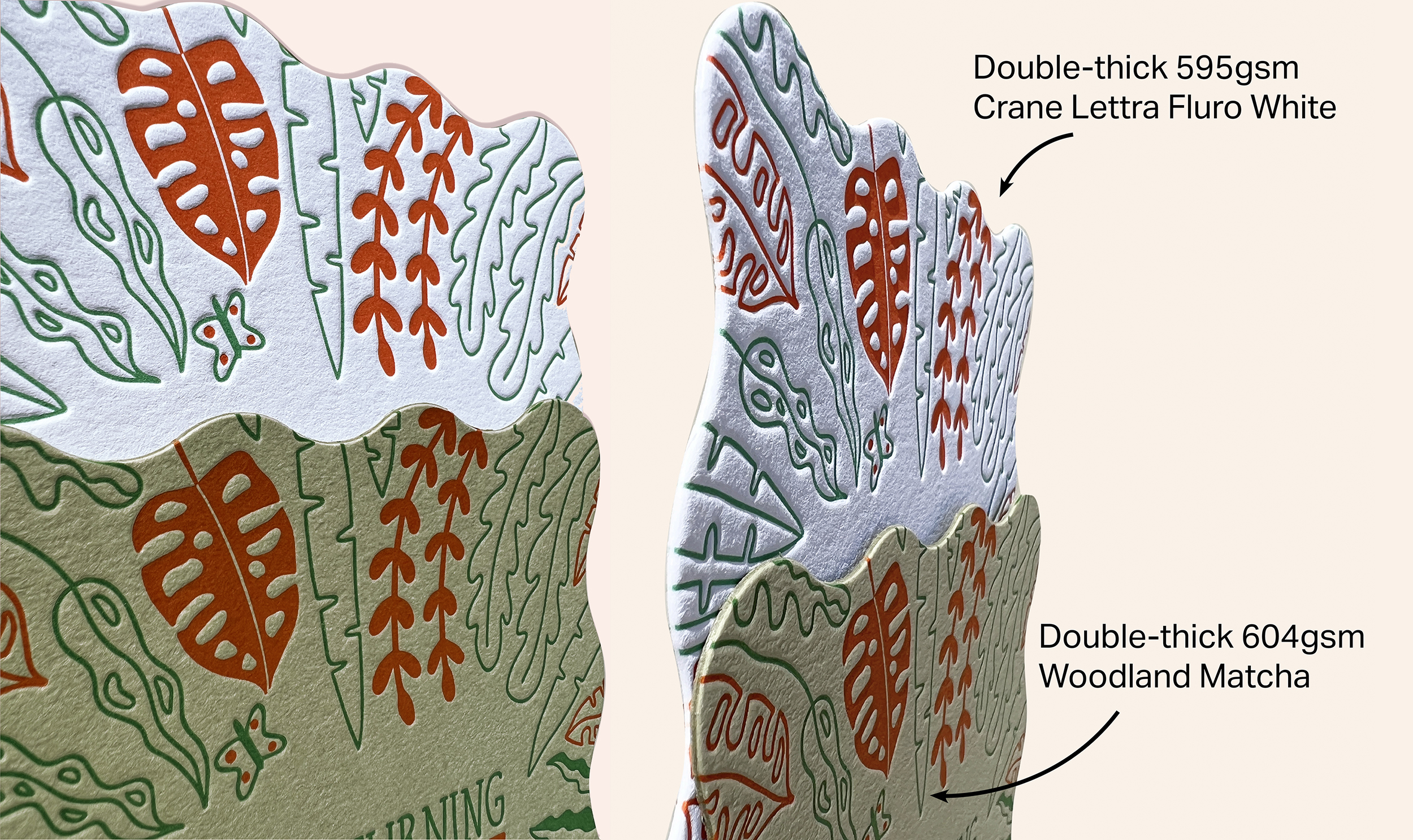 L_double thick lettra and matcha comparison caption.jpg
